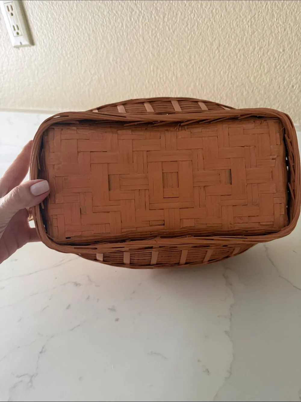 Vintage Painted Basket with Brass Coi Fish Handle Lidded